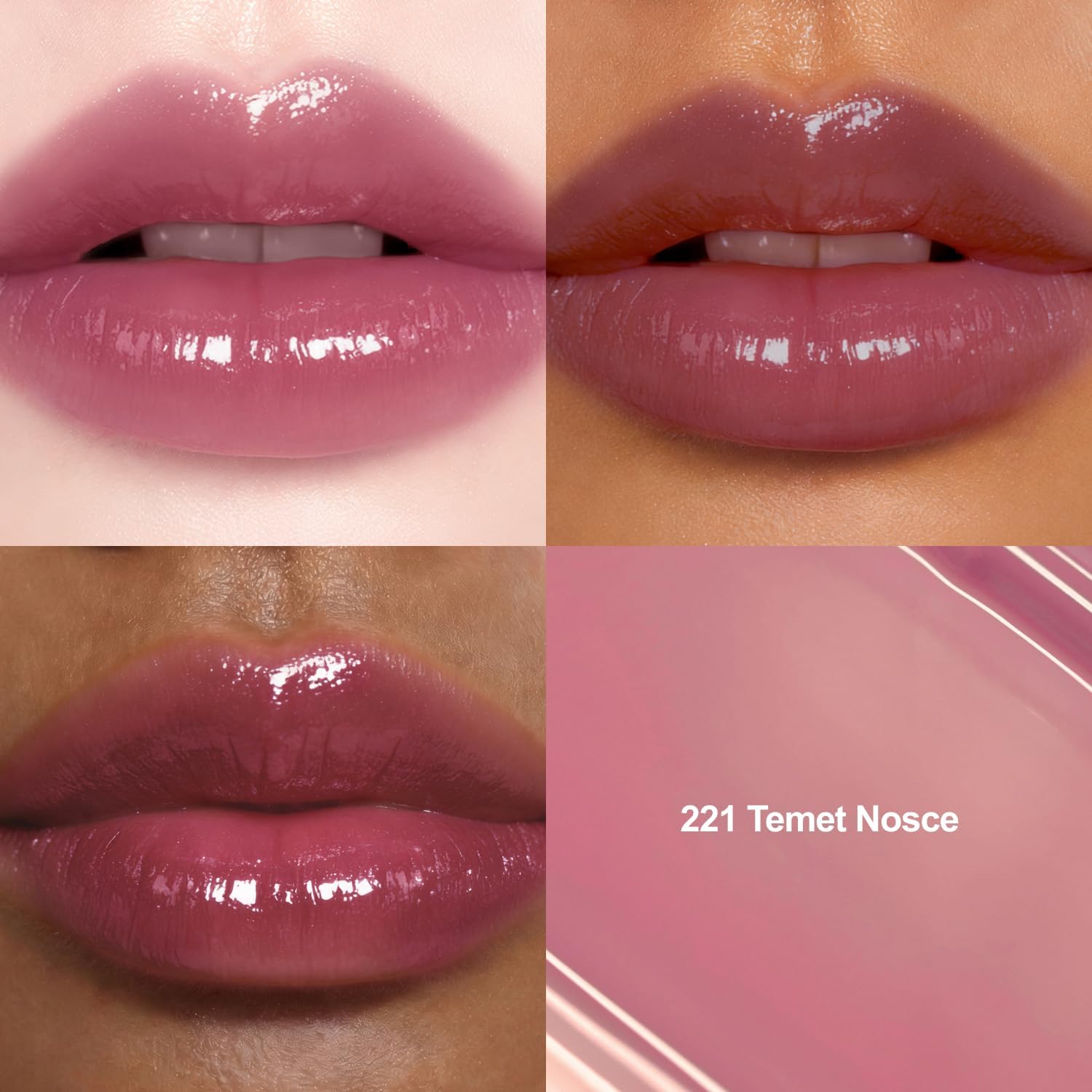 Dinto ブラーグローイリップティント #221 Temet Nosce スウォッチ画像 ブルベ夏おすすめ