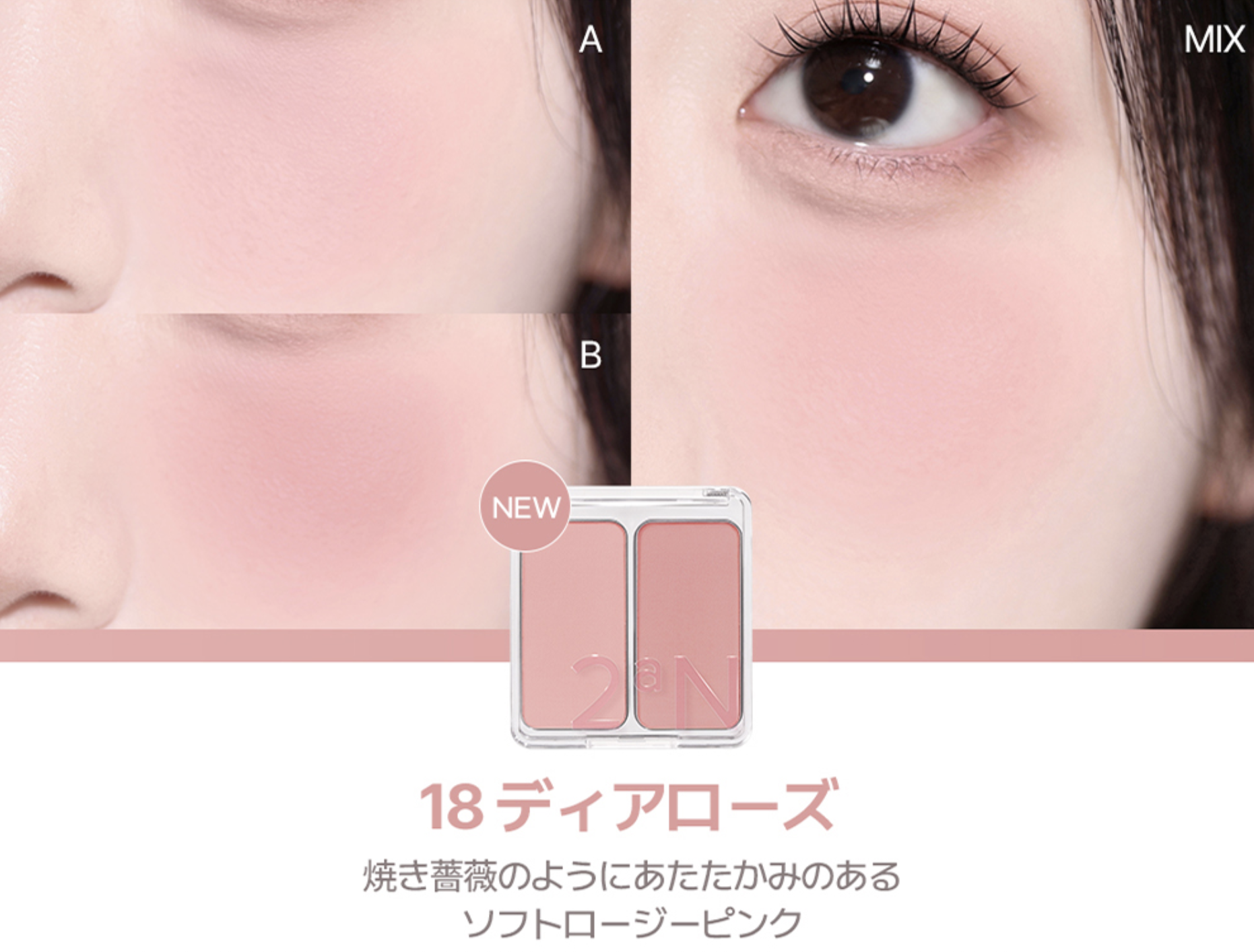 2aN デュアルチーク 18 ディアローズ